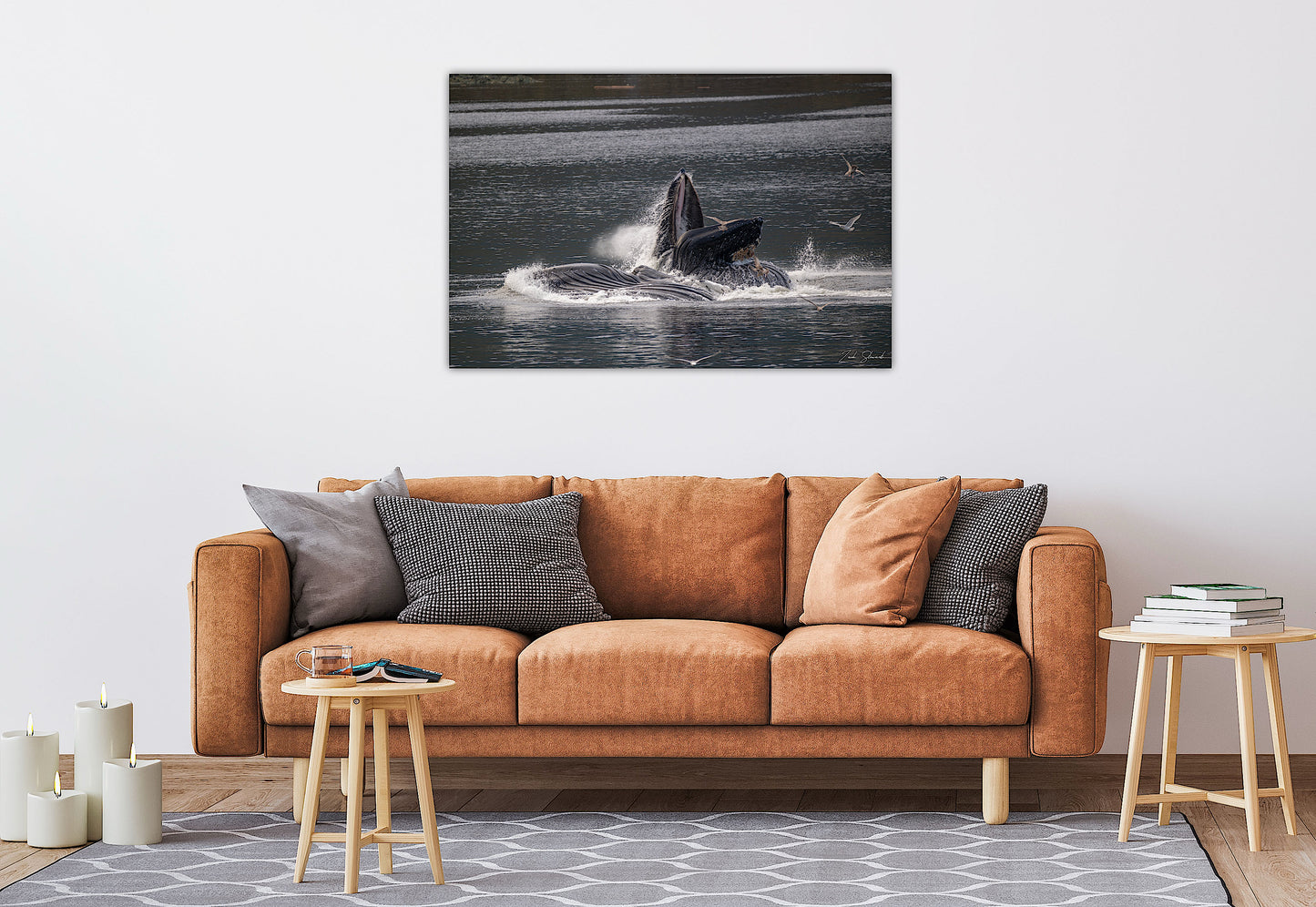 Bubble Feeding Humpback Whales - Wall Art Photo Print