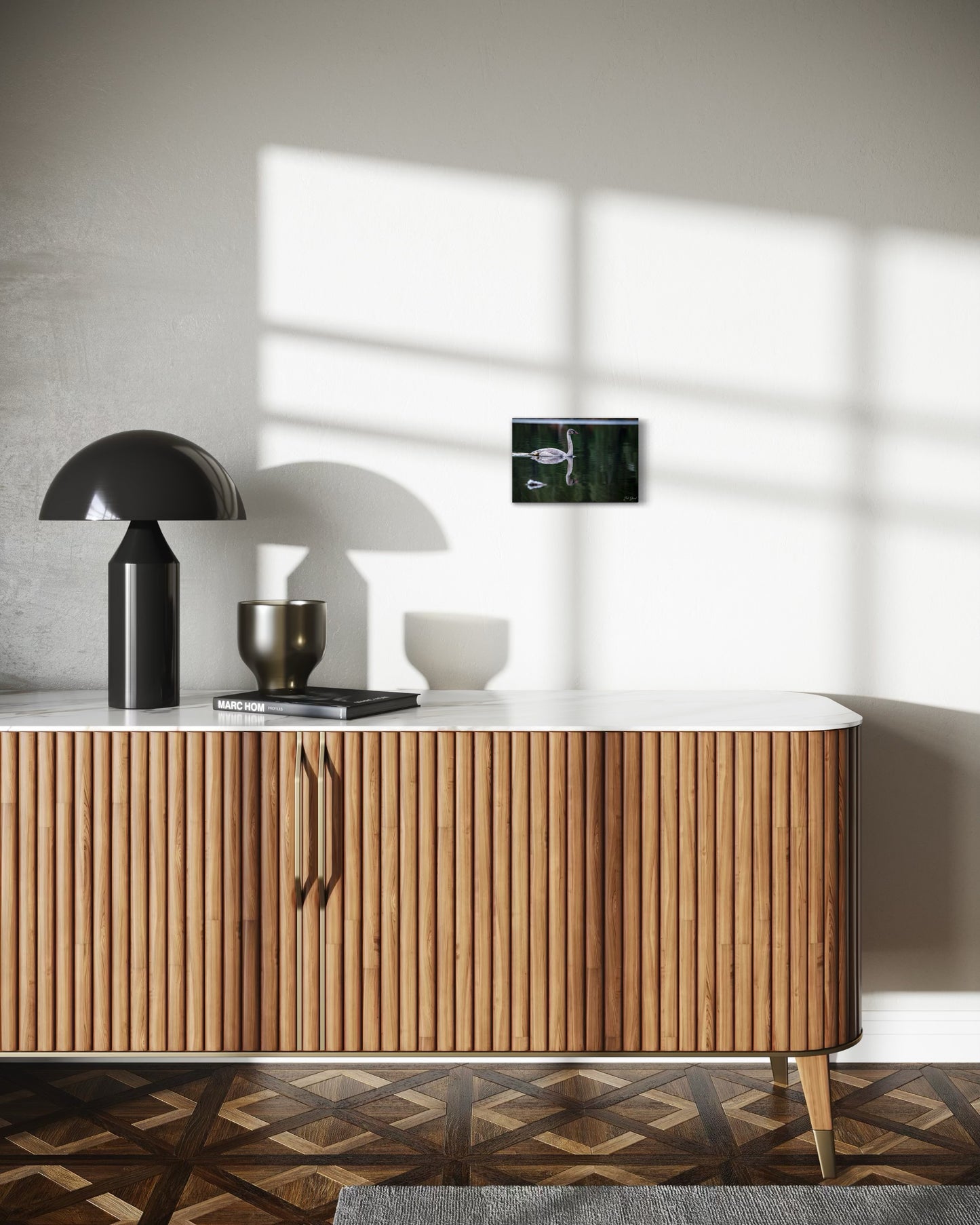 Adolescent Swan Swimming - Wall Art Photo Print - Zack Stewart Photography