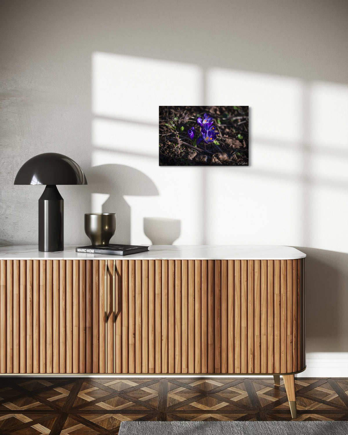 Early Morning Crocus - Wall Art Photo Print - Zack Stewart Photography