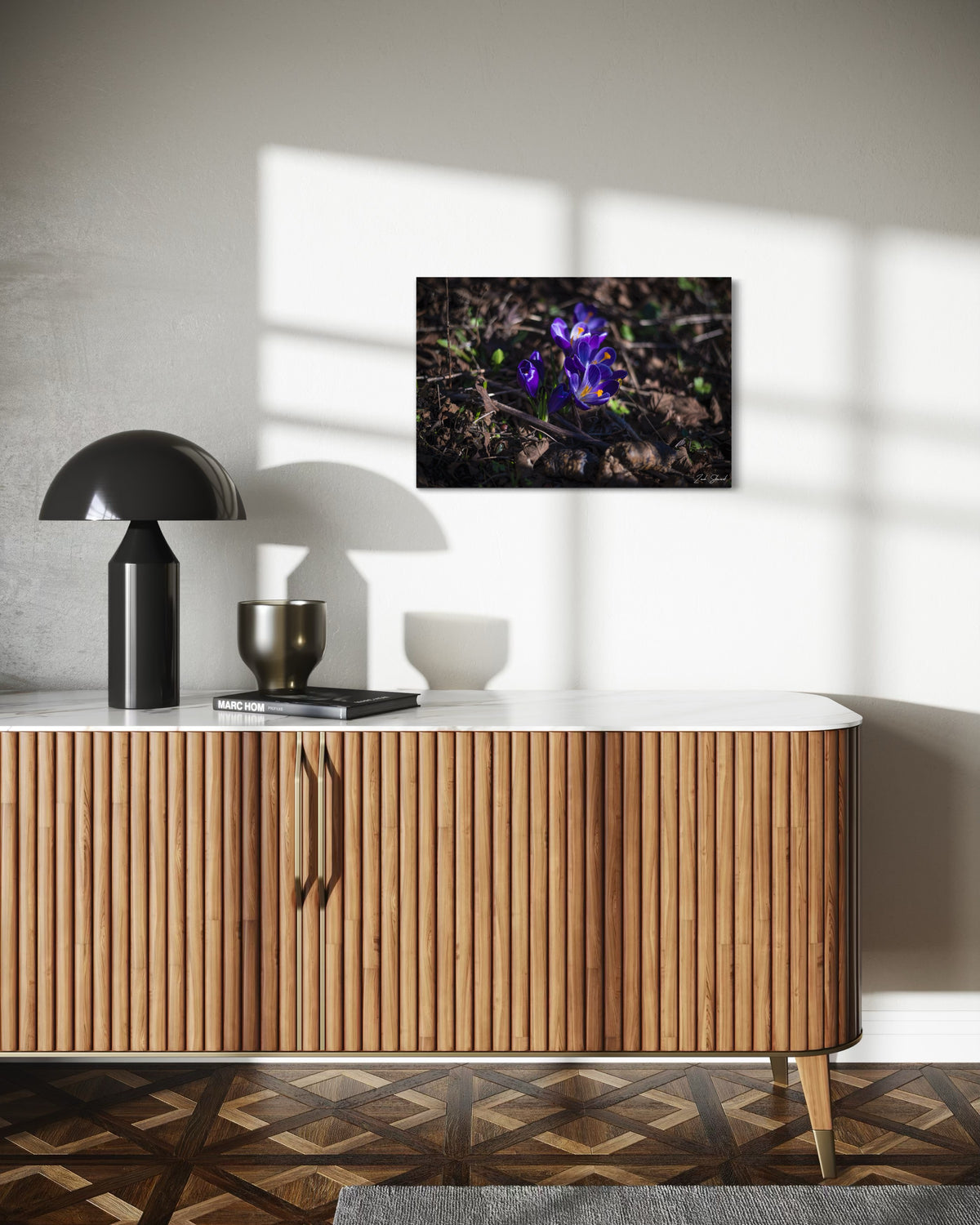 Early Morning Crocus - Wall Art Photo Print - Zack Stewart Photography