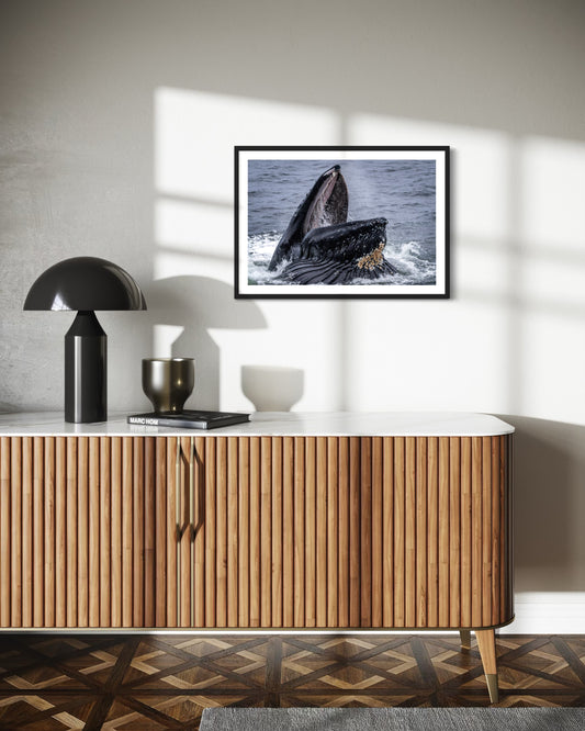 Meal Time With Phoenix - Wall Art Photo Print - Zack Stewart Photography