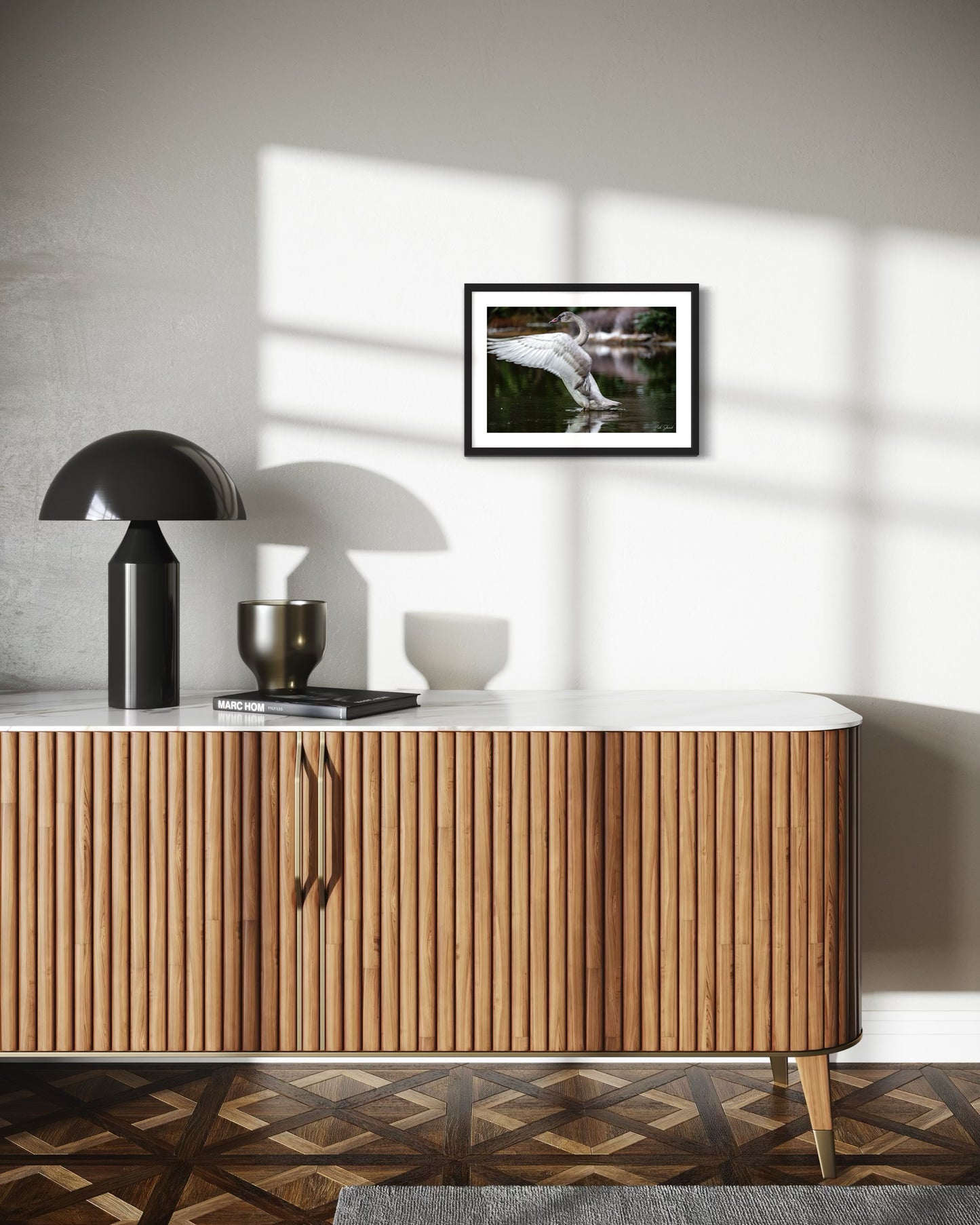 Preening Adolescent Swan - Wall Art Photo Print - Zack Stewart Photography