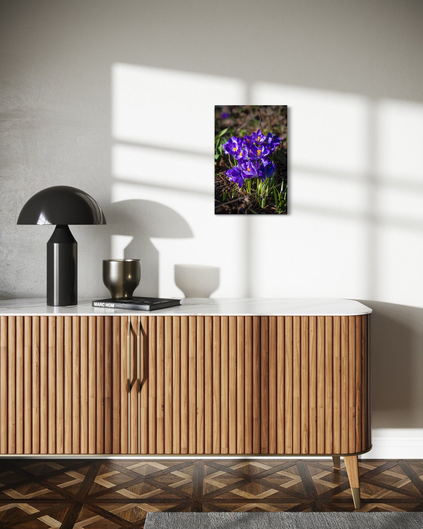 Purple Morning Crocuses - Wall Art Photo Print - Zack Stewart Photography