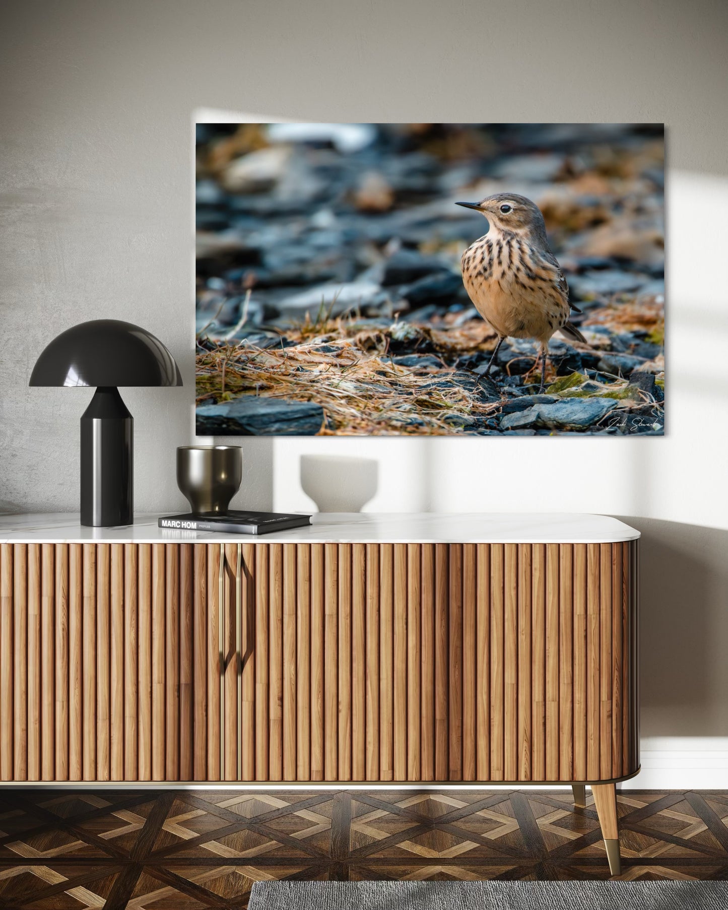 American Pipet on Beach - Wall Art Photo Print - Zack Stewart Photography