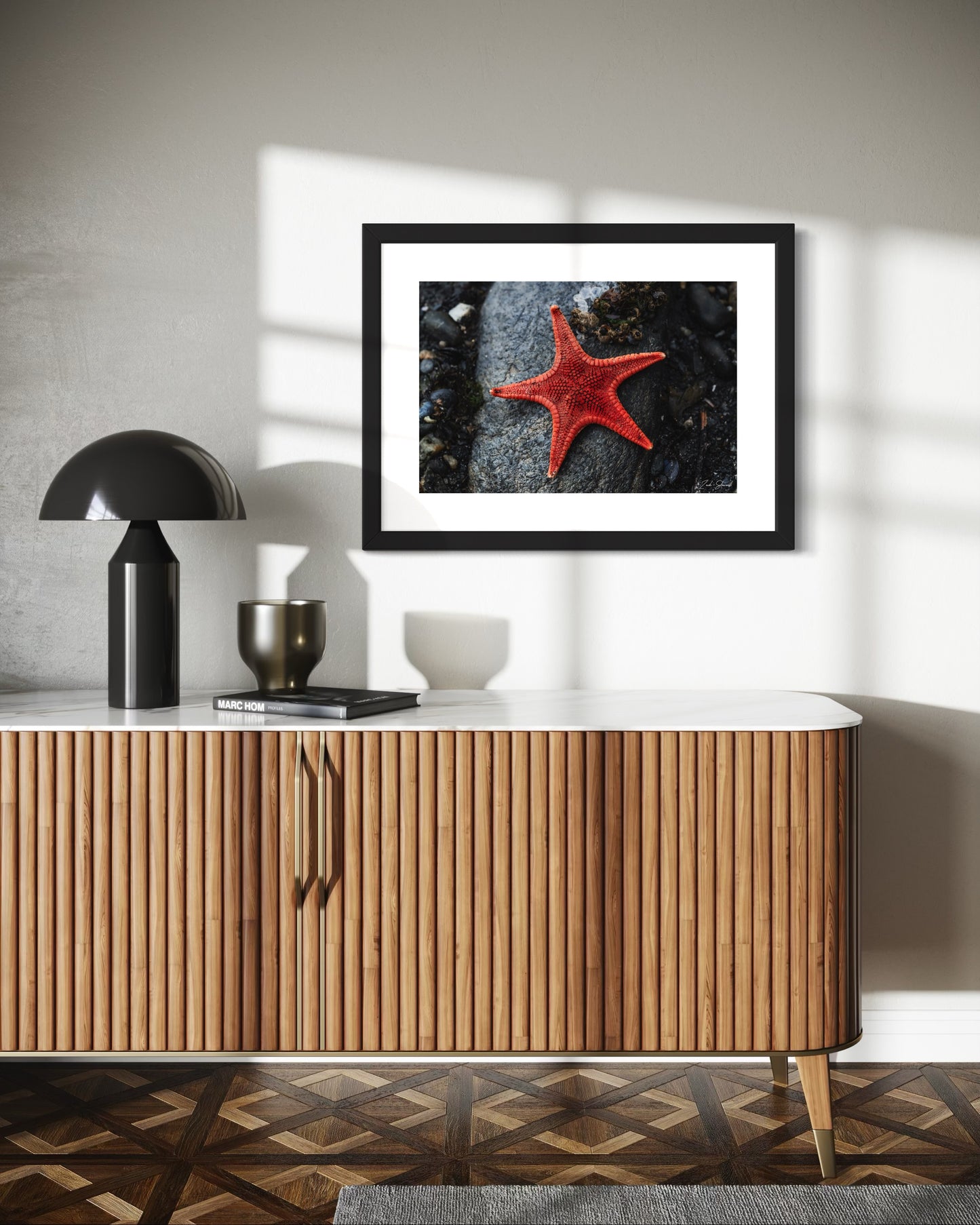 Star Of The Shore - Wall Art Photo Print - Zack Stewart Photography