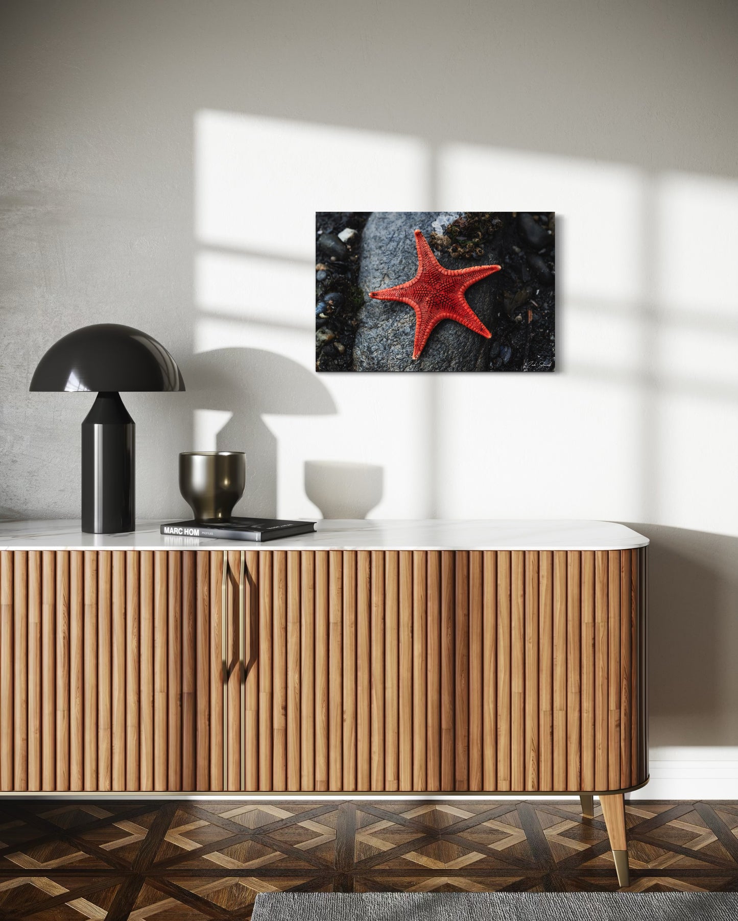 Star Of The Shore - Wall Art Photo Print - Zack Stewart Photography