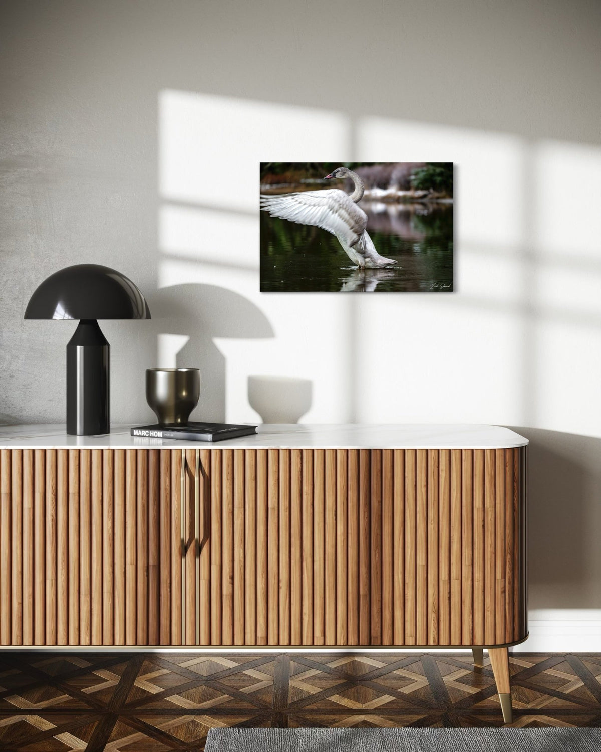 Preening Adolescent Swan - Wall Art Photo Print - Zack Stewart Photography