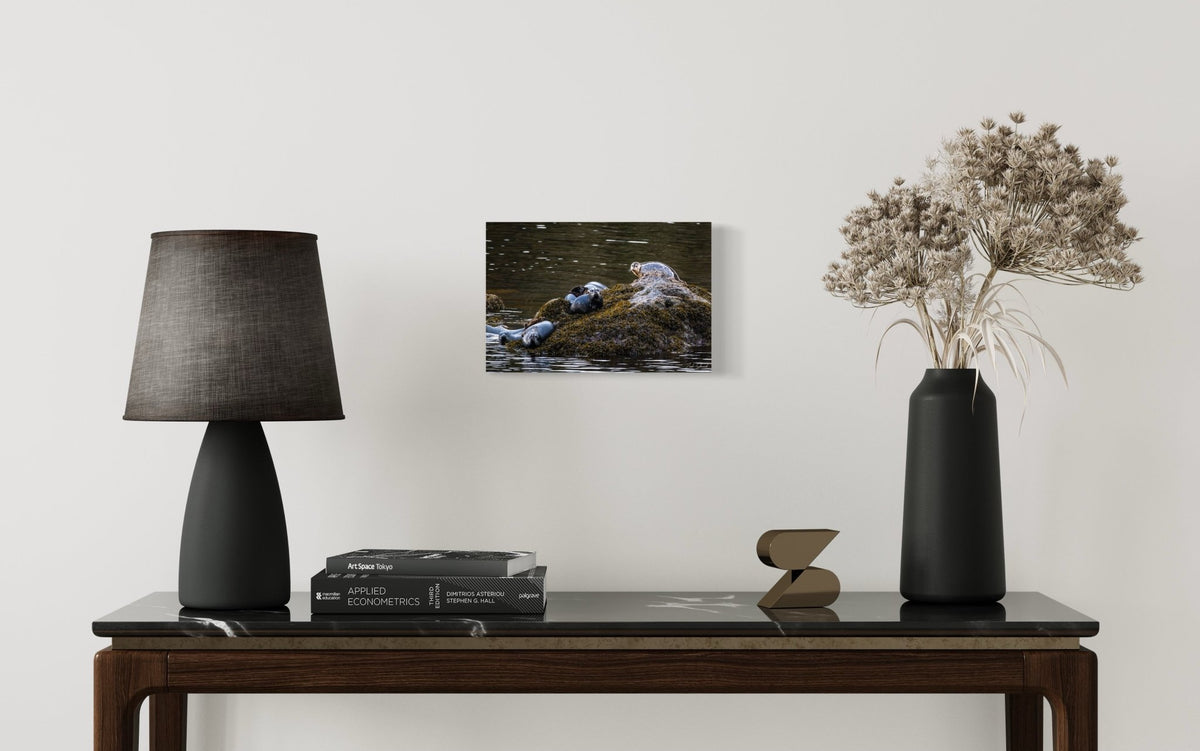 Seal Rock - Wall Art Photo Print - Zack Stewart Photography