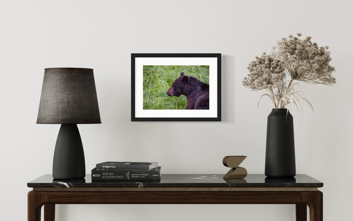 Stillness and Strength - Wall Art Photo Print - Zack Stewart Photography