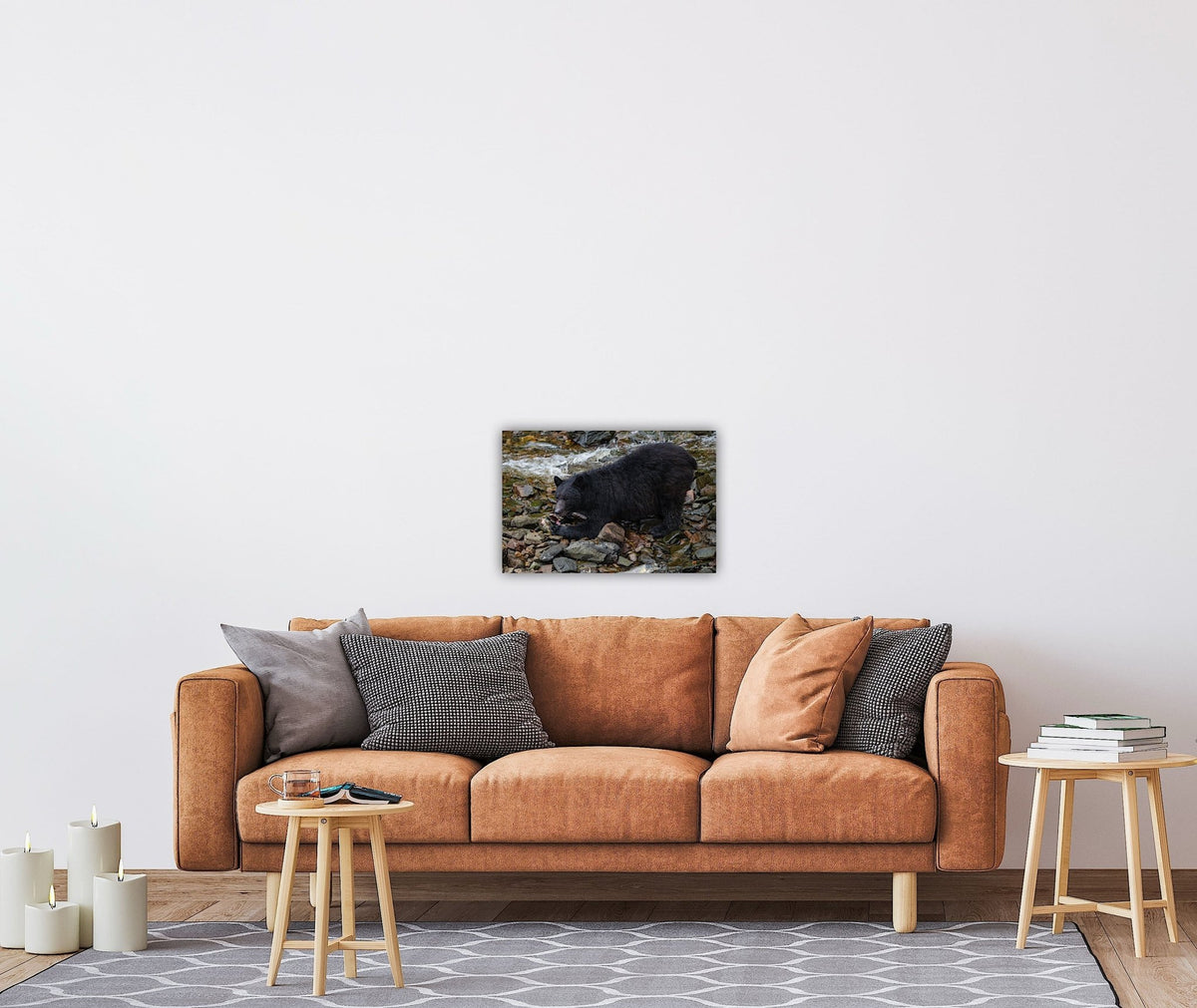 "The Feast" Black Bear Feasting on Salmon - Wall Art Photo Print - Zack Stewart Photography
