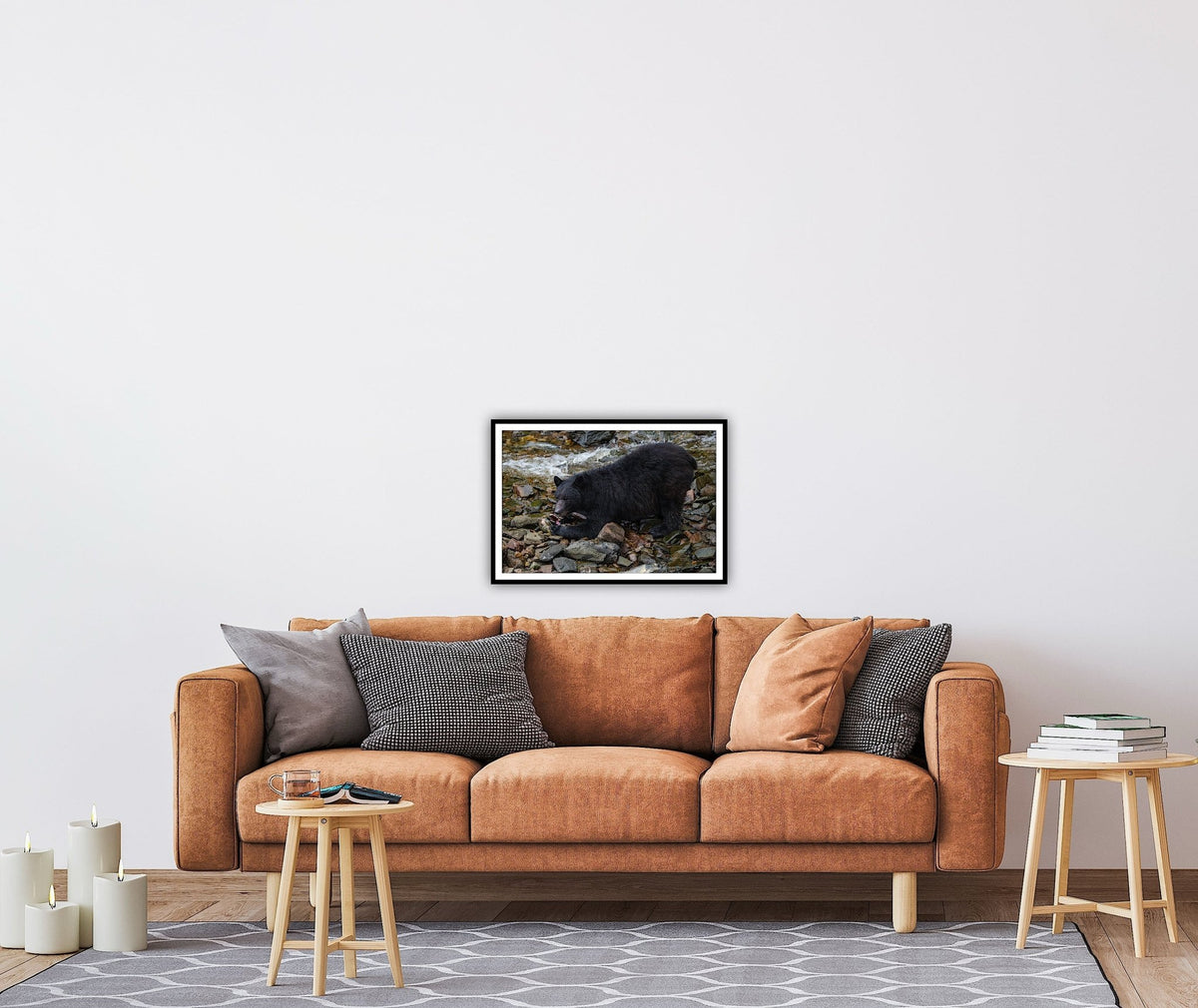 "The Feast" Black Bear Feasting on Salmon - Wall Art Photo Print - Zack Stewart Photography