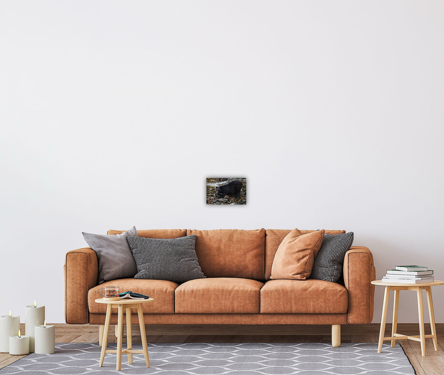 "The Feast" Black Bear Feasting on Salmon - Wall Art Photo Print