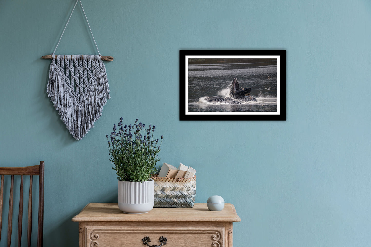 Bubble Feeding Humpback Whales - Wall Art Photo Print
