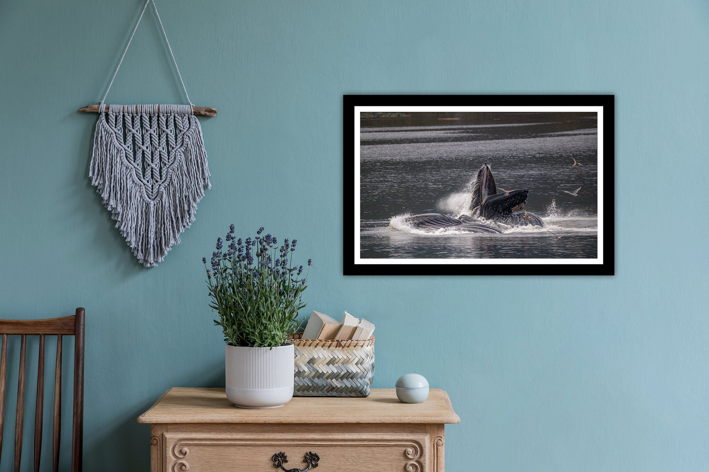 Bubble Feeding Humpback Whales - Wall Art Photo Print