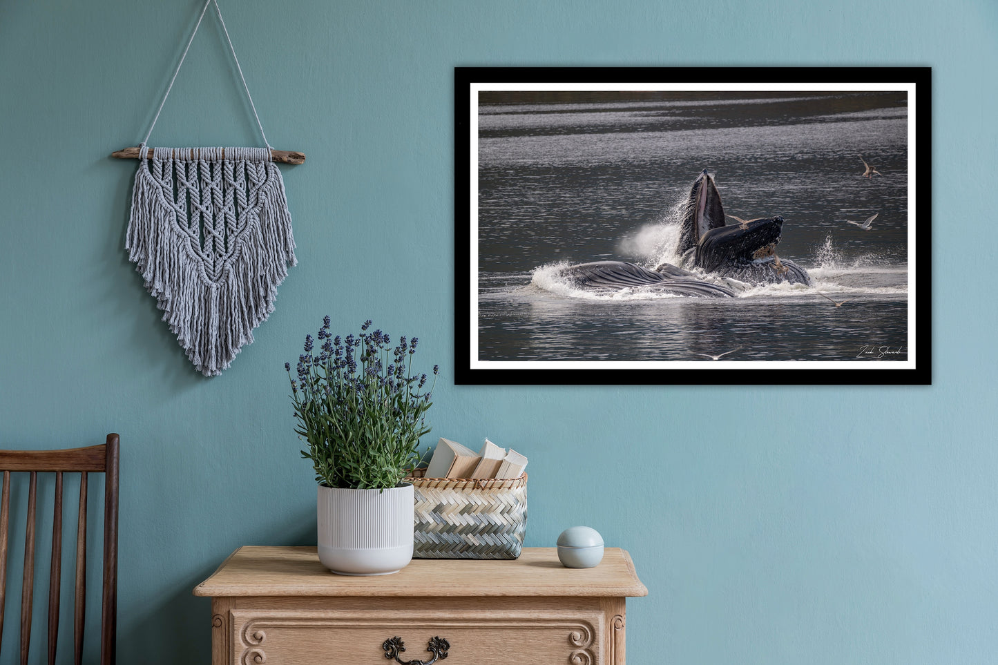 Bubble Feeding Humpback Whales - Wall Art Photo Print