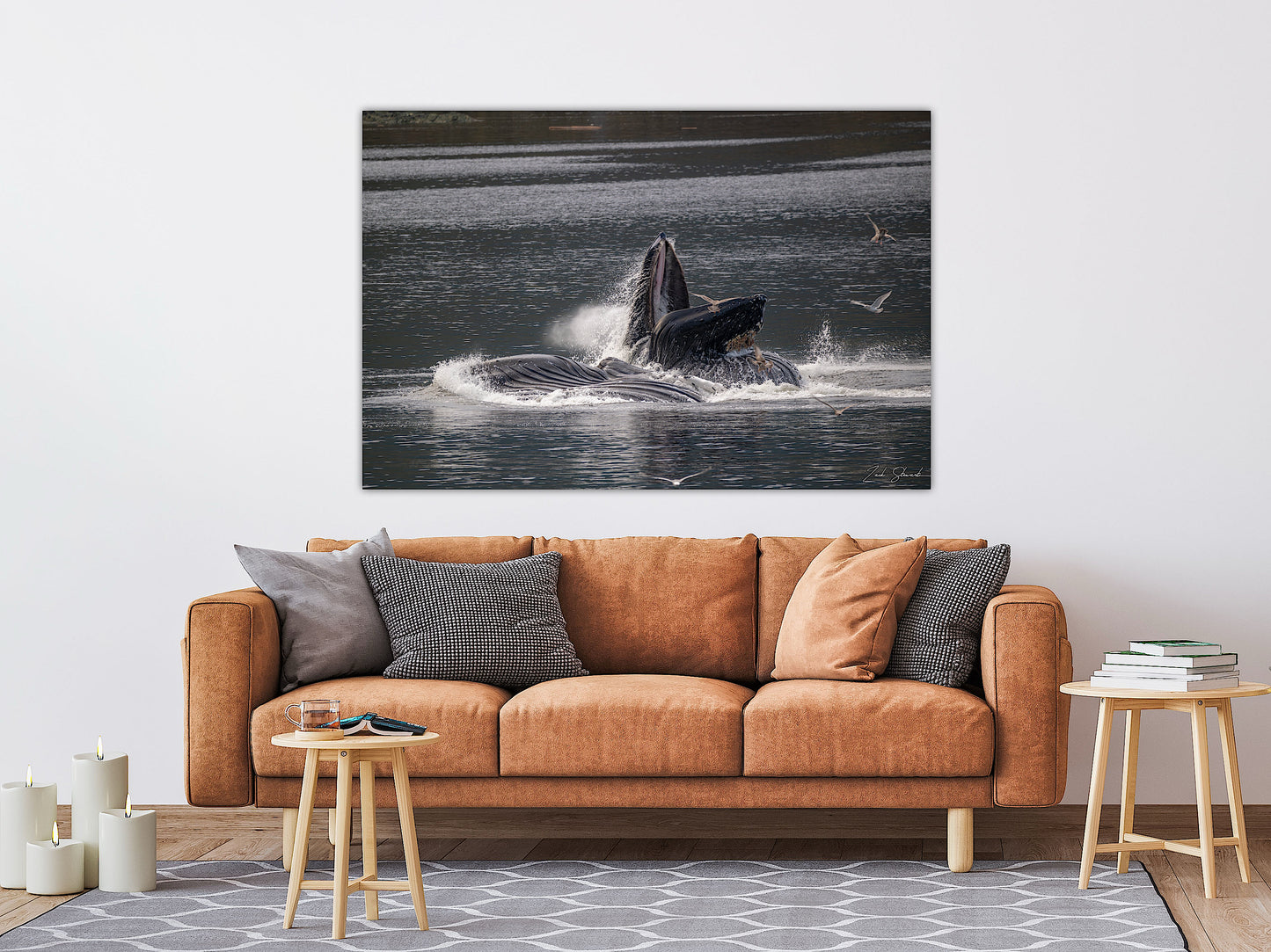 Bubble Feeding Humpback Whales - Wall Art Photo Print