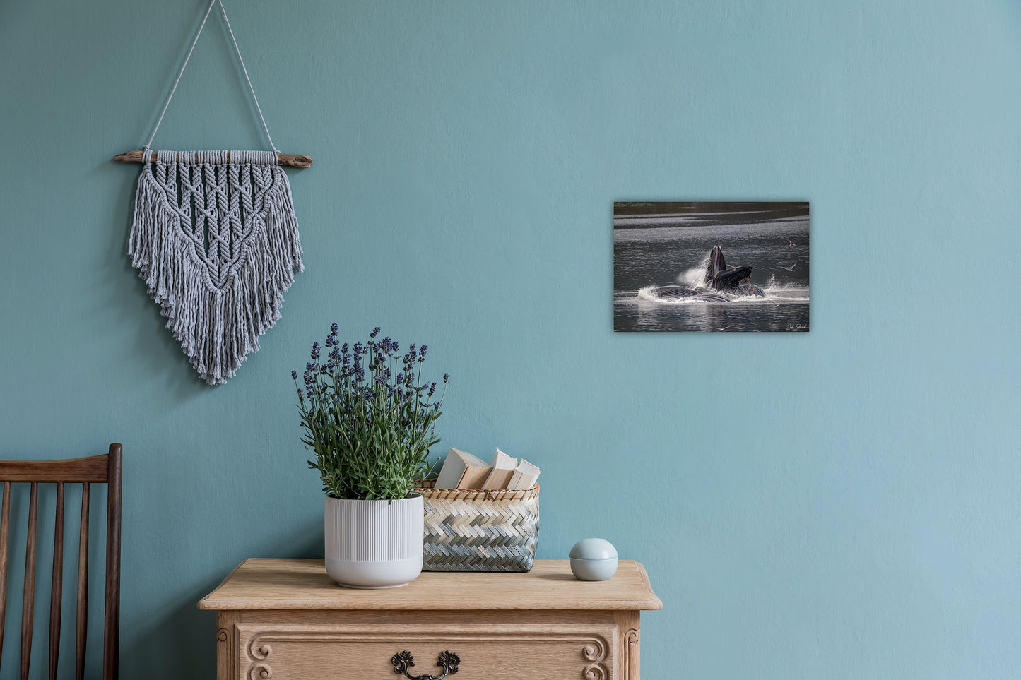 Bubble Feeding Humpback Whales - Wall Art Photo Print