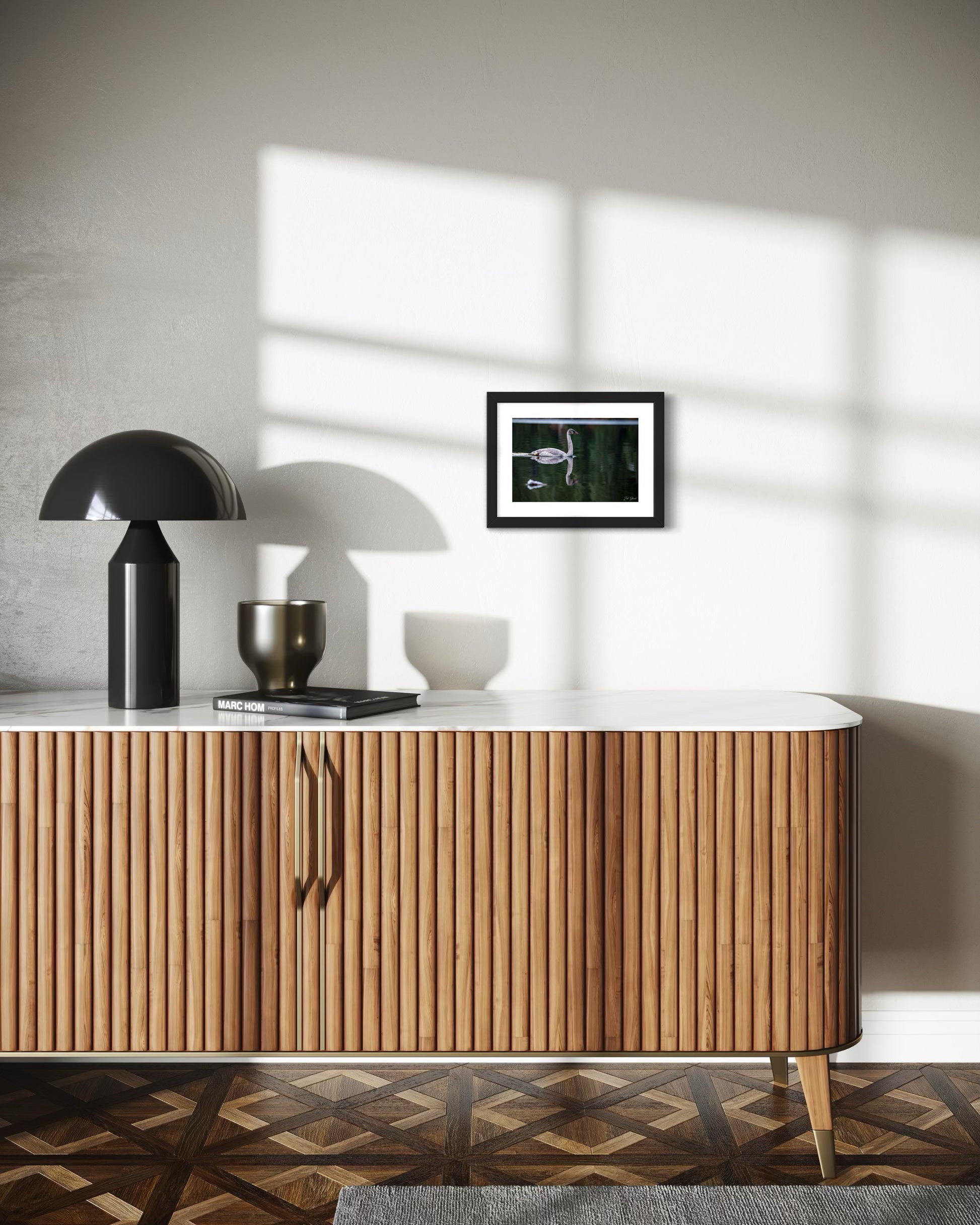 Adolescent Swan Swimming -  Wall Art Photo Print - Zack Stewart Photography