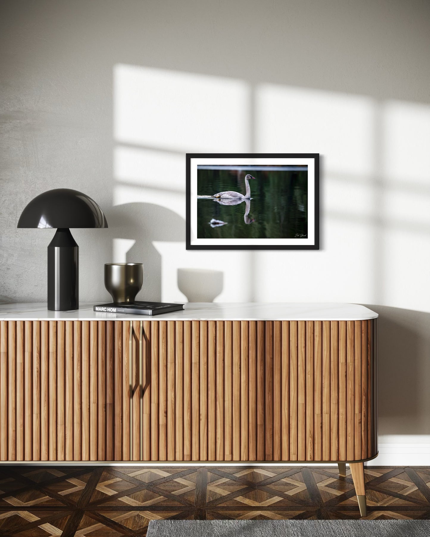 Adolescent Swan Swimming -  Wall Art Photo Print - Zack Stewart Photography