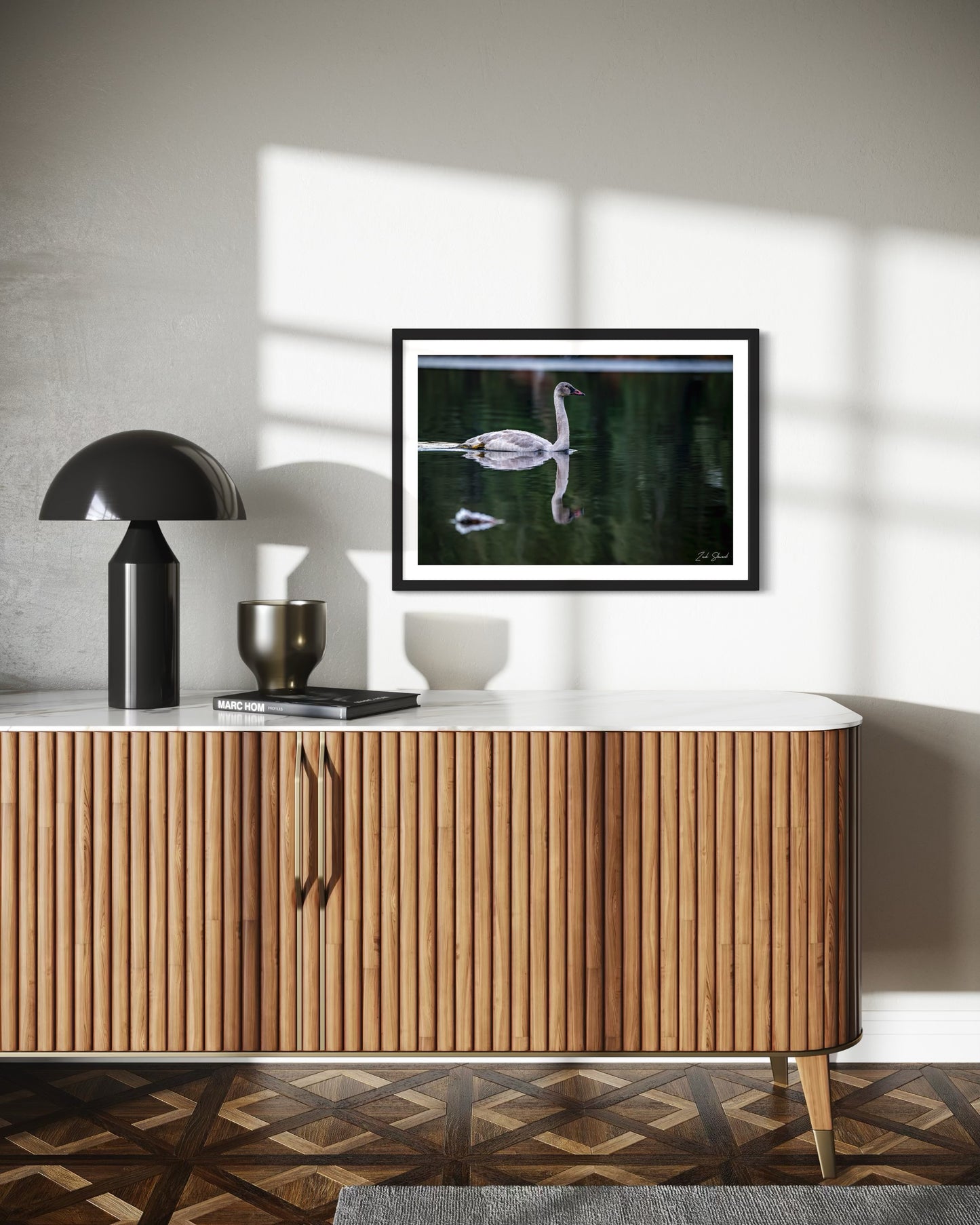 Adolescent Swan Swimming -  Wall Art Photo Print - Zack Stewart Photography