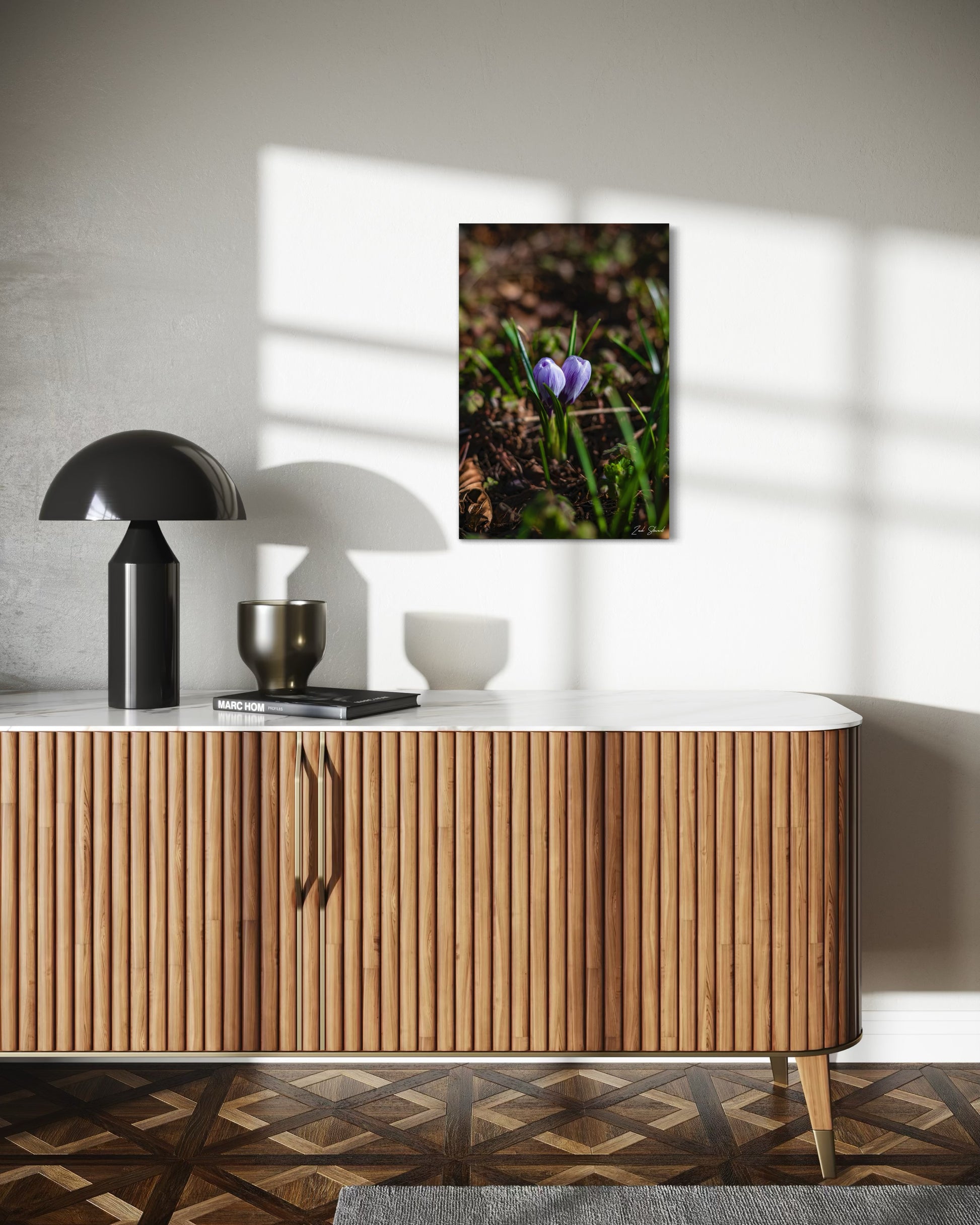 Closed Morning Crocus -  Wall Art Photo Print - Zack Stewart Photography