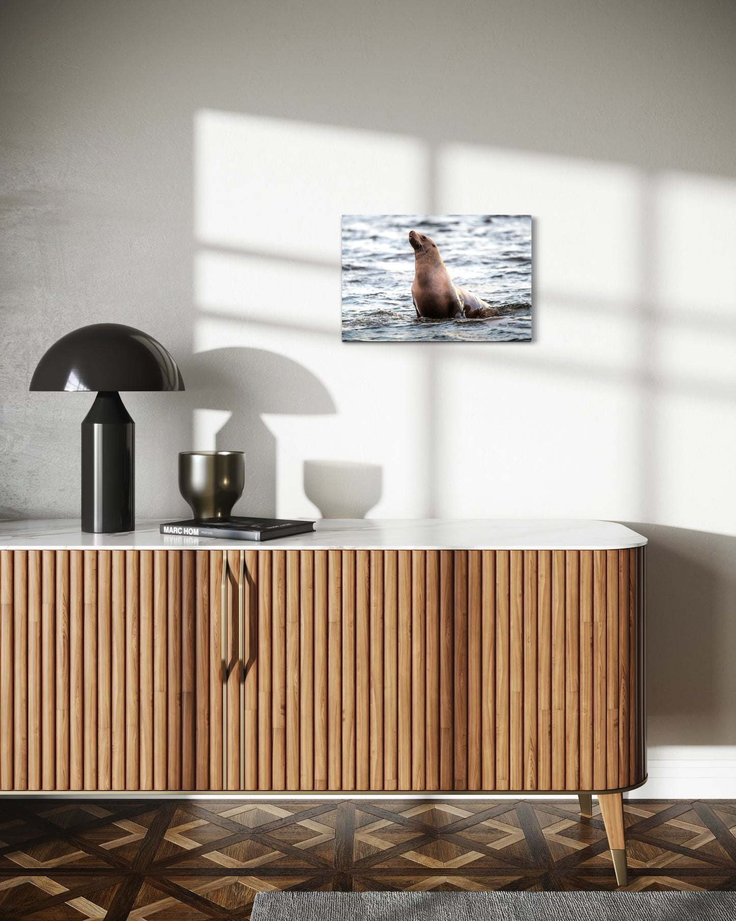 Sunbathing Stellar Sea Lion - Wall Art Photo Print - Zack Stewart Photography
