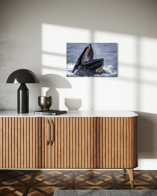 Meal Time With Phoenix - Wall Art Photo Print - Zack Stewart Photography