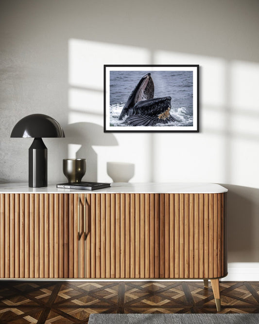 Meal Time With Phoenix - Wall Art Photo Print - Zack Stewart Photography