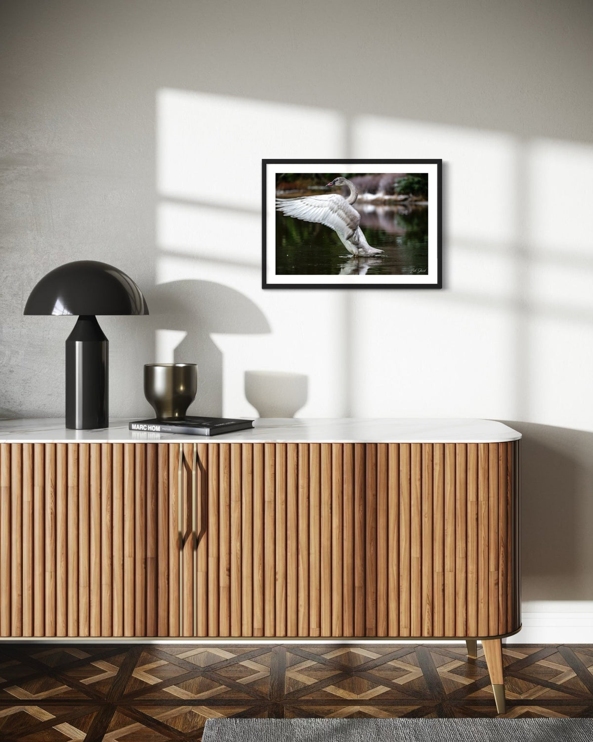 Preening Adolescent Swan - Wall Art Photo Print - Zack Stewart Photography