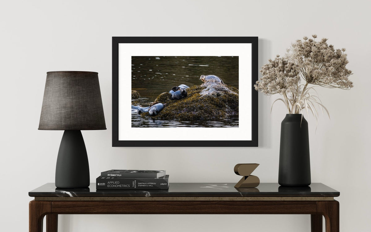 Seal Rock -  Wall Art Photo Print - Zack Stewart Photography