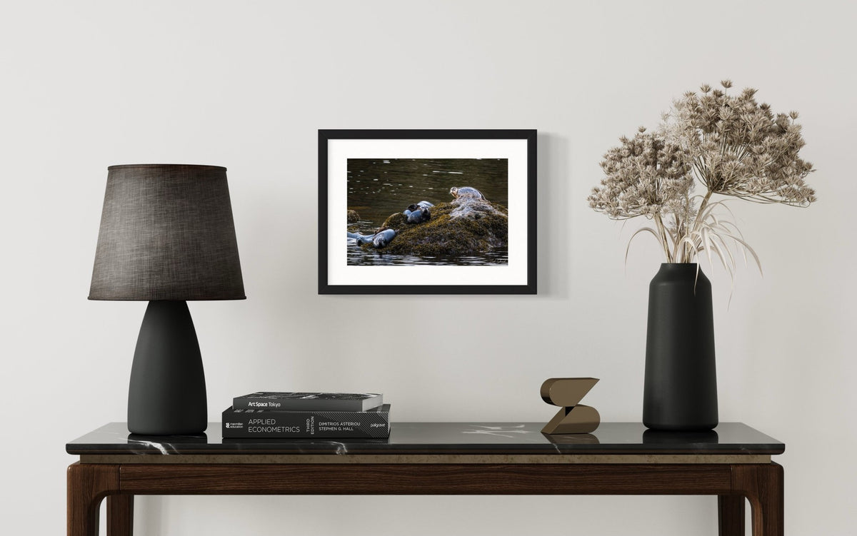 Seal Rock -  Wall Art Photo Print - Zack Stewart Photography