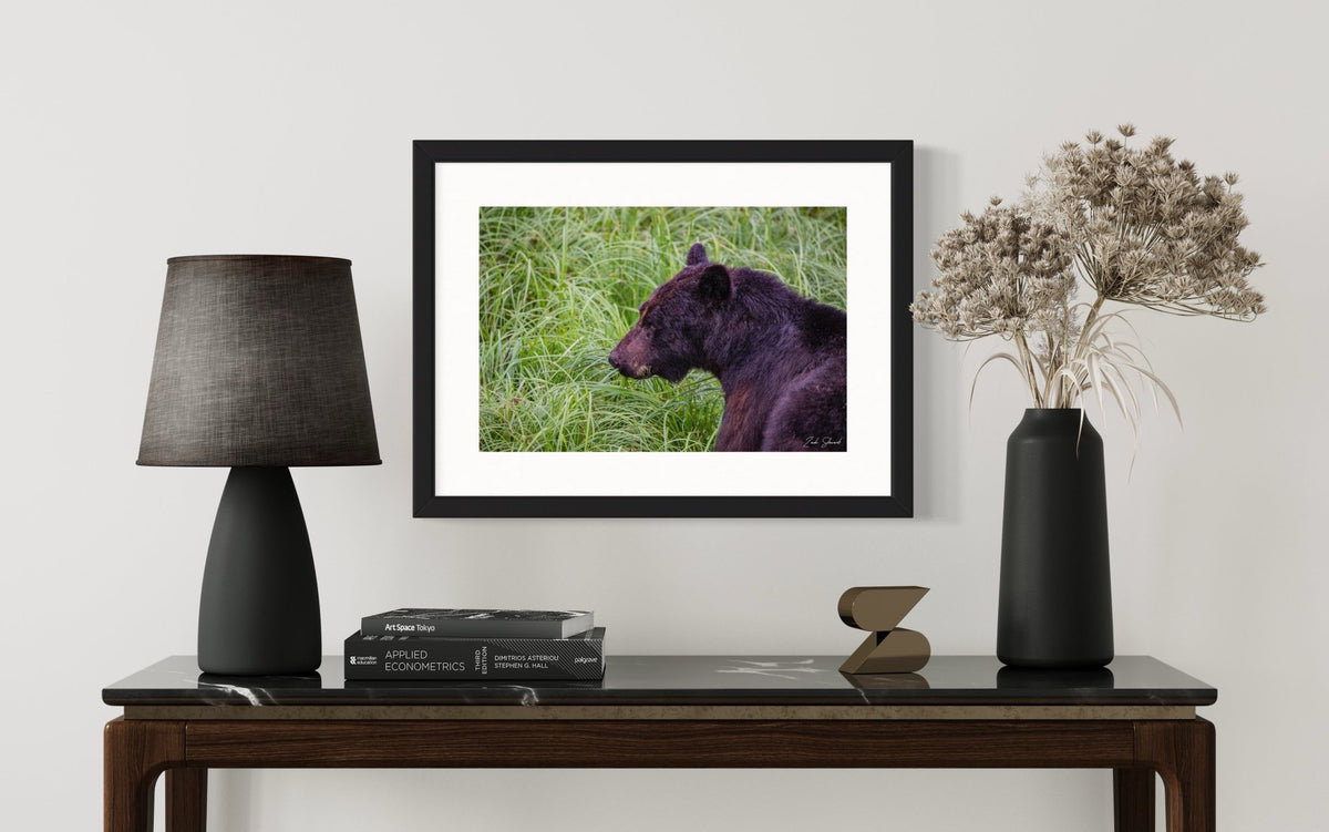 Stillness and Strength -  Wall Art Photo Print - Zack Stewart Photography