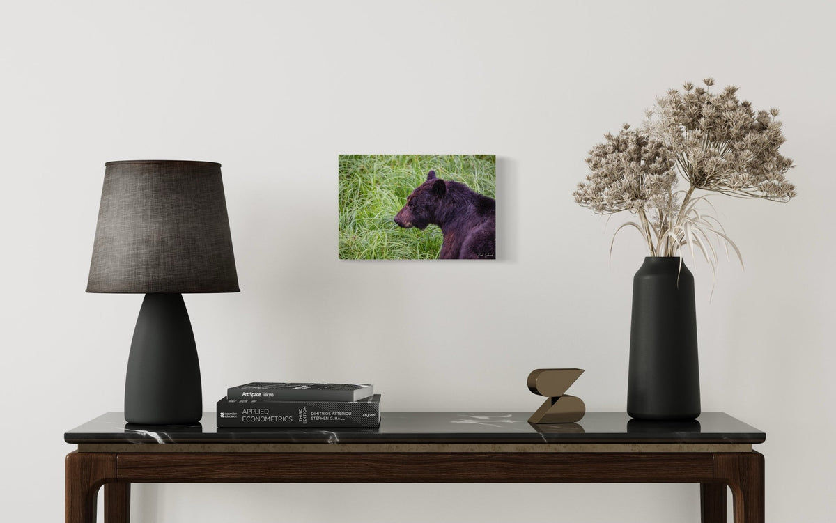 Stillness and Strength -  Wall Art Photo Print - Zack Stewart Photography